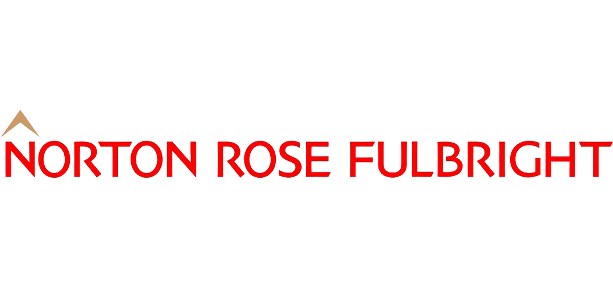 Logo norton rose fulbright - Link zur Webseite